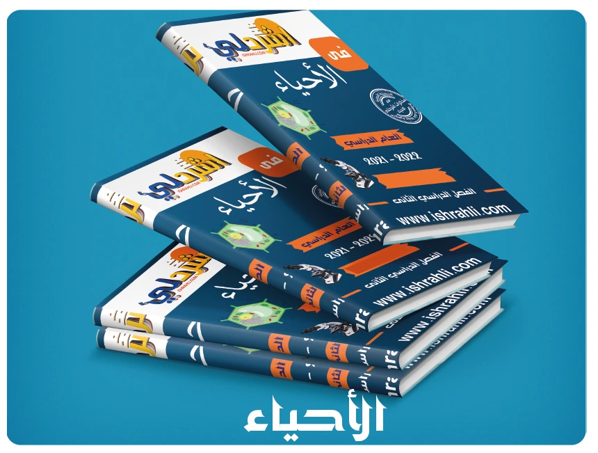 الأحياء